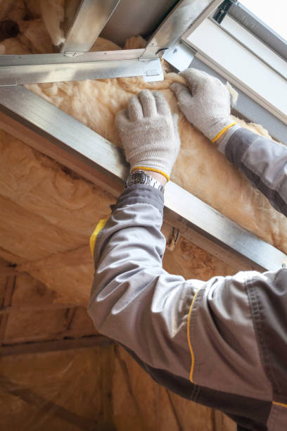 Best Basement Insulation  in Kerrville, TX