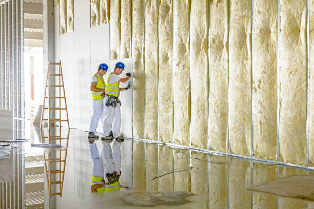 Best Garage Insulation  in Kerrville, TX